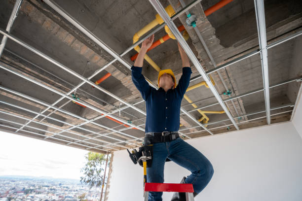 Best Emergency Plumber  in Fraser, MI